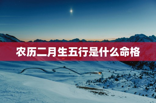 农历二月生五行是什么命格