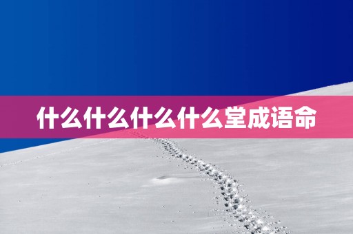 什么什么什么什么堂成语命