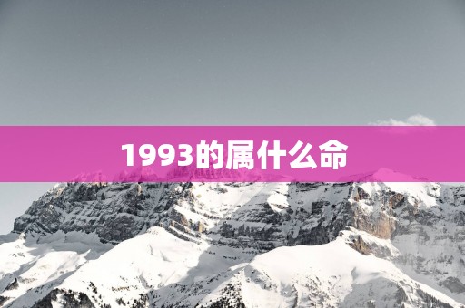 1993的属什么命 1993的属什么命