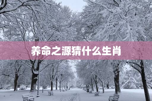养命之源猜什么生肖