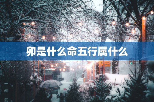 卯是什么命五行属什么