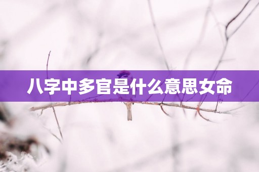 八字中多官是什么意思女命