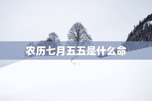 农历七月五五是什么命