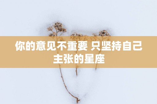 你的意见不重要 只坚持自己主张的星座