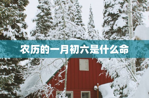 农历的一月初六是什么命
