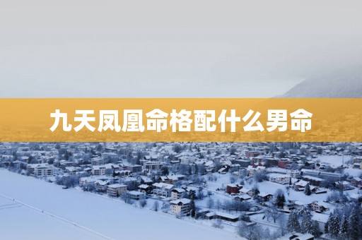 九天凤凰命格配什么男命
