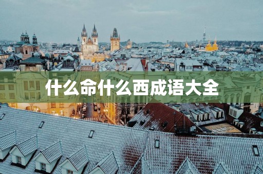 什么命什么西成语大全