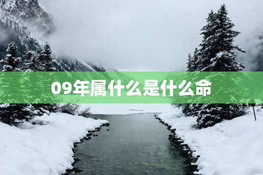 09年属什么是什么命