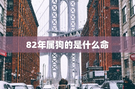 82年属狗的是什么命