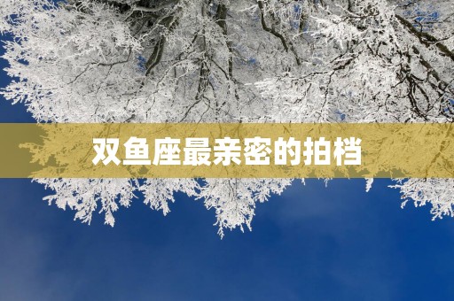 双鱼座最亲密的拍档