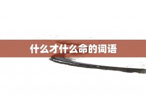 什么才什么命的词语
