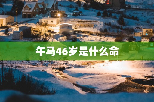 午马46岁是什么命