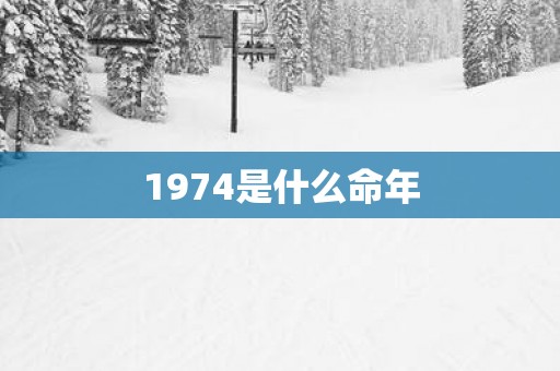 1974是什么命年