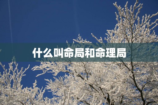 什么叫命局和命理局