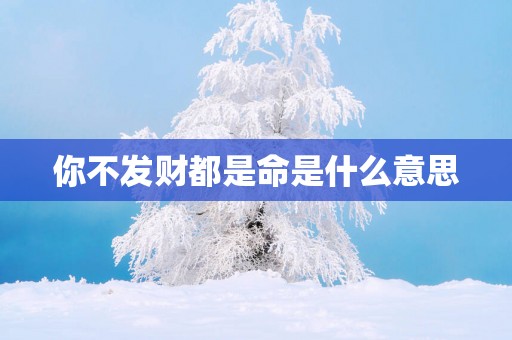 你不发财都是命是什么意思