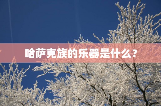 哈萨克族的乐器是什么？