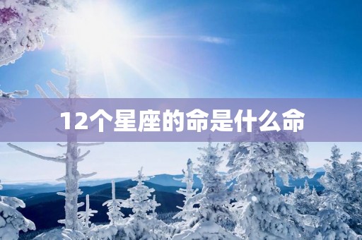 12个星座的命是什么命