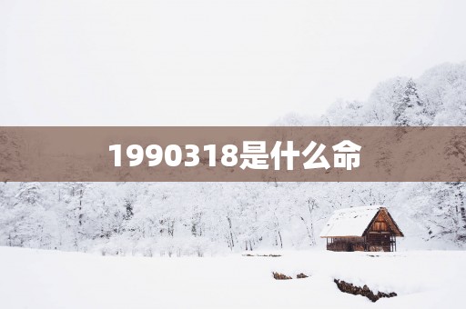 1990318是什么命