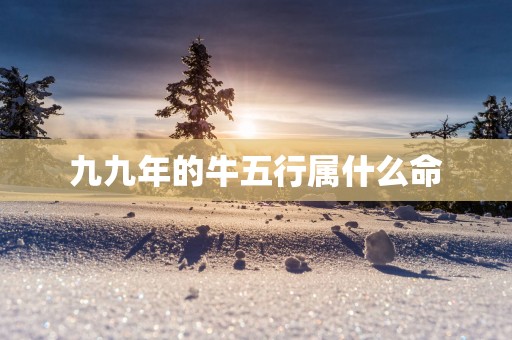 九九年的牛五行属什么命