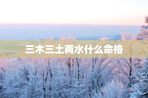 三木三土两水什么命格