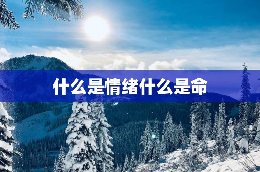 什么是情绪什么是命