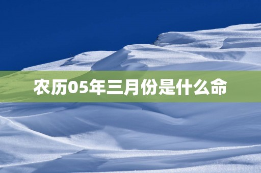 农历05年三月份是什么命