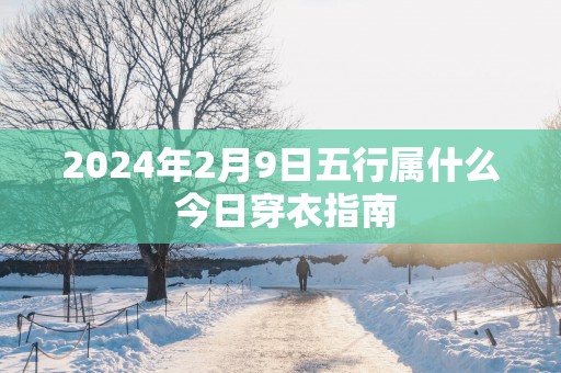 2025年2月9日五行属什么 今日穿衣指南