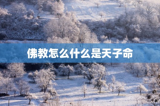 佛教怎么什么是天子命