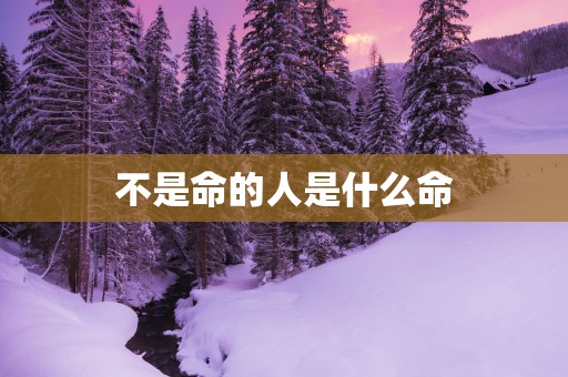 不是命的人是什么命