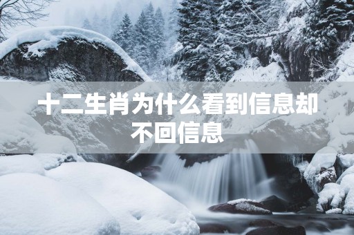 十二生肖为什么看到信息却不回信息