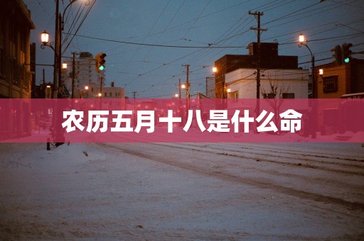 农历五月十八是什么命