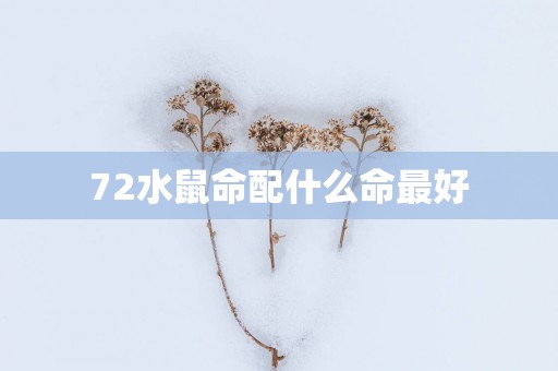 72水鼠命配什么命最好