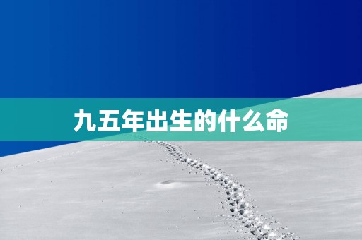 九五年出生的什么命