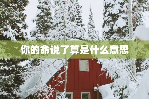 你的命说了算是什么意思