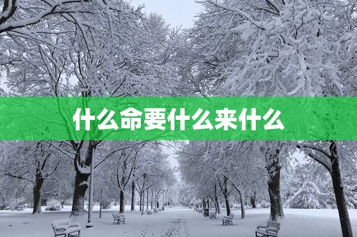 什么命要什么来什么
