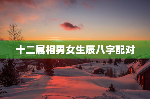 十二属相男女生辰八字配对