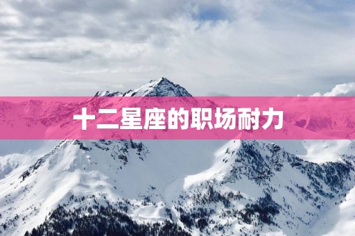 十二星座的职场耐力