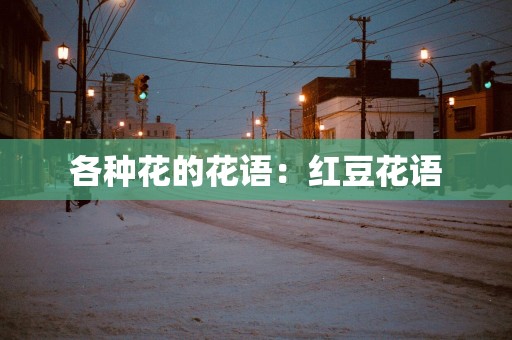 各种花的花语：红豆花语