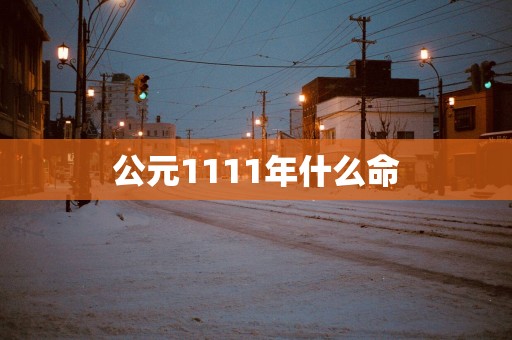 公元1111年什么命