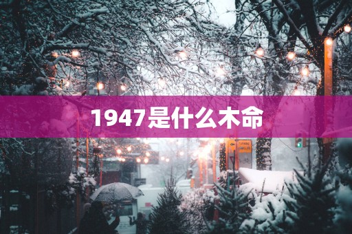 1947是什么木命