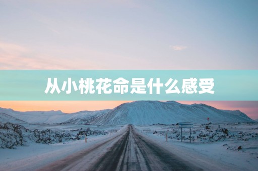 从小桃花命是什么感受