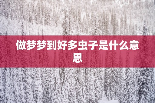 做梦梦到好多虫子是什么意思