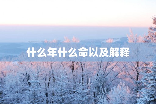 什么年什么命以及解释
