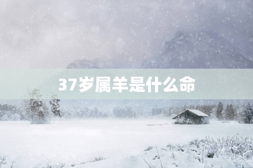 37岁属羊是什么命