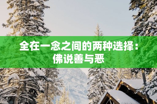 全在一念之间的两种选择：佛说善与恶