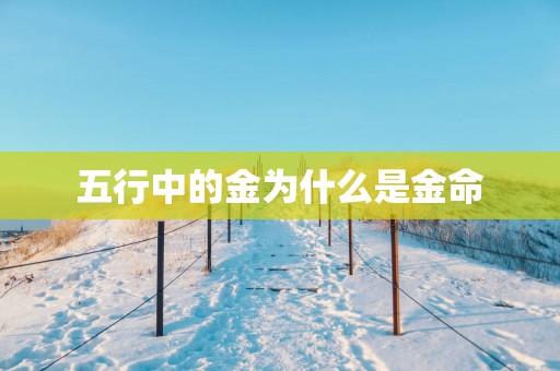 五行中的金为什么是金命