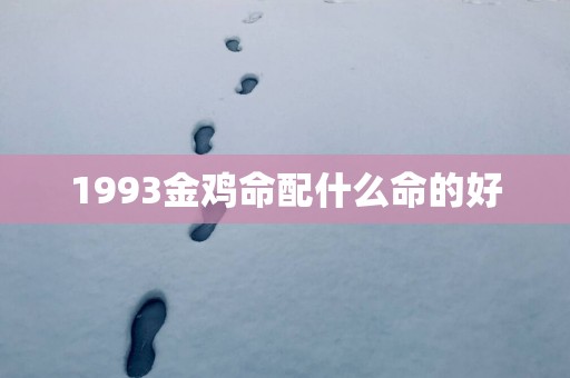 1993金鸡命配什么命的好