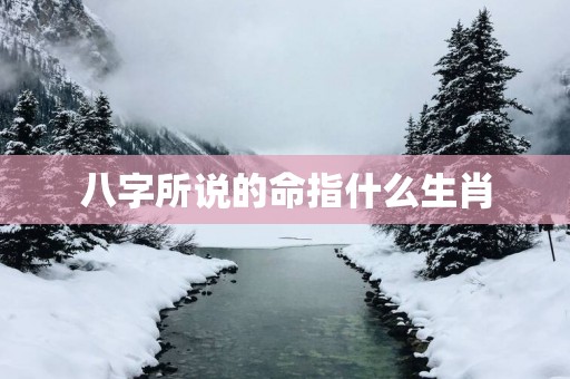 八字所说的命指什么生肖
