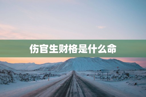 伤官生财格是什么命