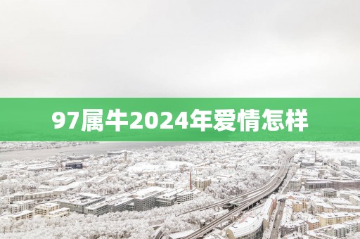97属牛2025年爱情怎样